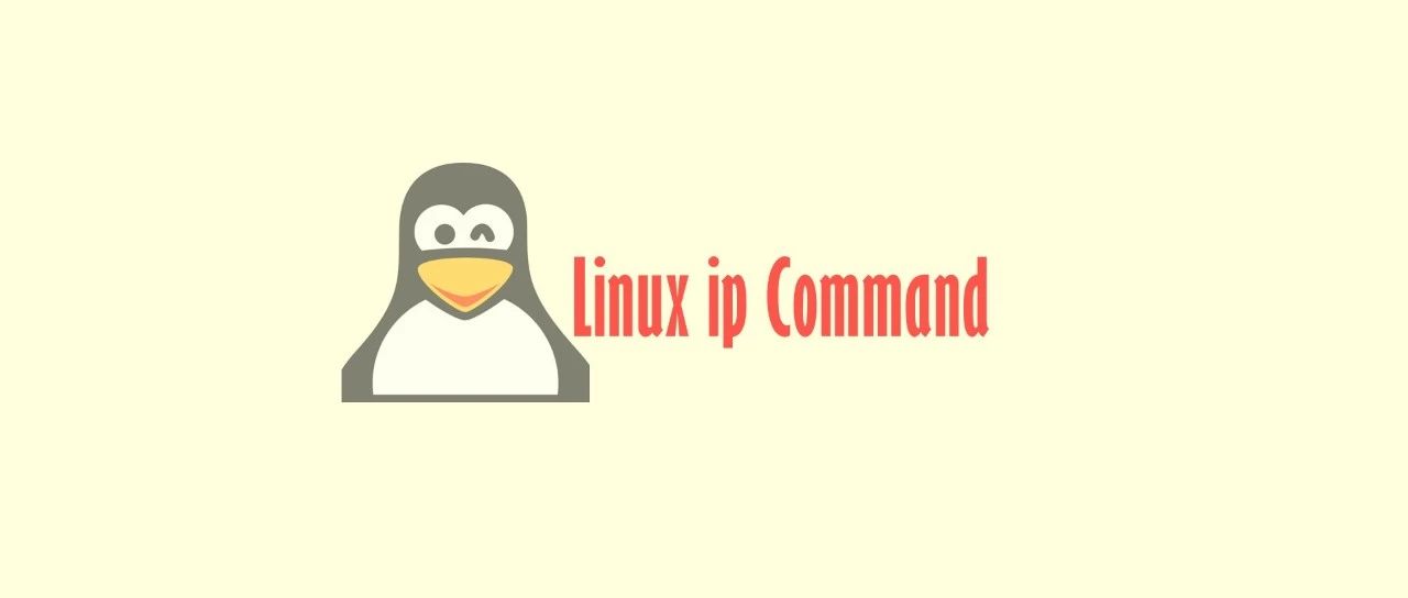 linux查看ip命令linux中动态分配ip地址的命令是？