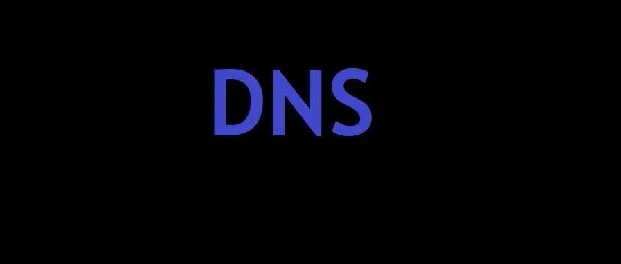 如何填写指定加密DNS服务？