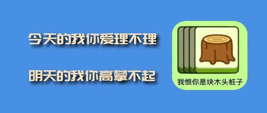 中文域名申请报告中文域名大全