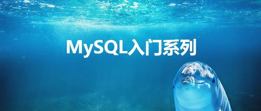 mysql主机名主机域名中哪个表示主机名