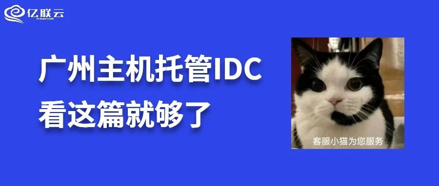 国内idc托管国内高速vps